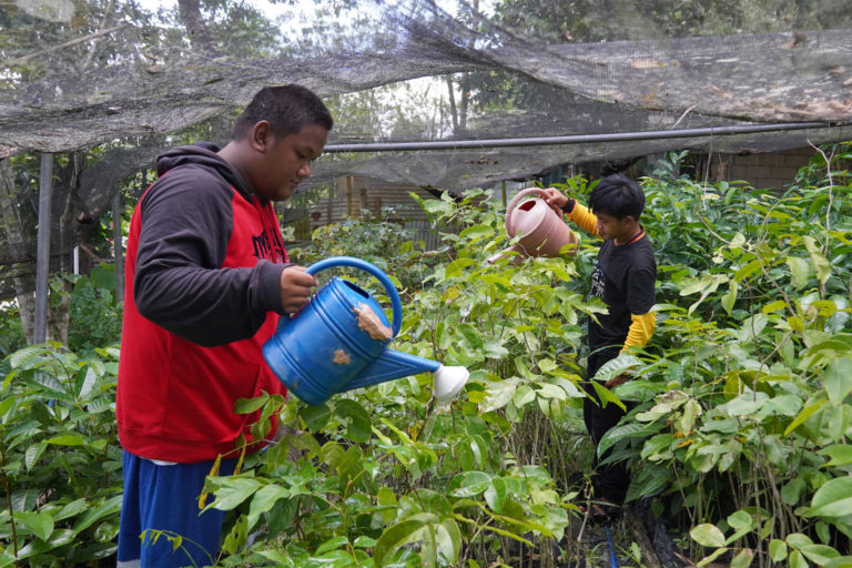 Young people at Macatumbalen are trained by their parents to co-manage the community nursery where the tree seedlings are grown and regularly watered.