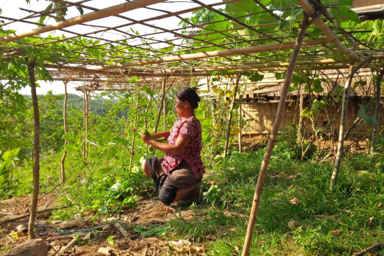 A woman tends to her vegetable garden