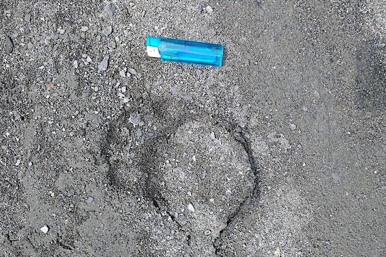 Formosan black bear footprint found at low elevation in Taitung, with cigarette lighter for scale. Image courtesy of Gregory McCann.