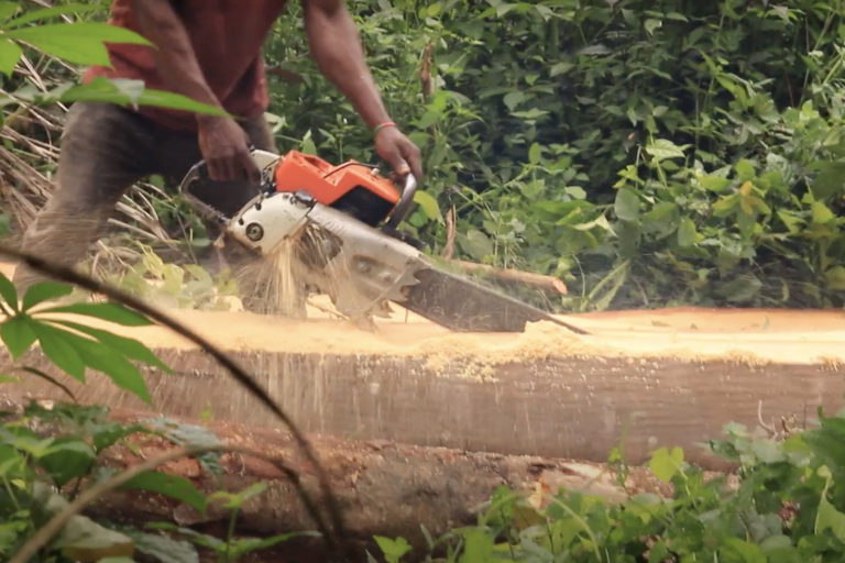 A chainsaw cuts through timber near Afi River Forest Reserve. Image by Orji Sunday.