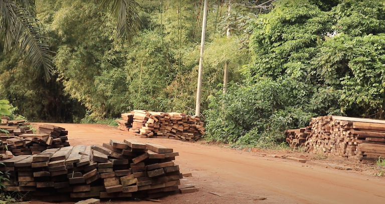 Milled lumber near Afi River Forest Reserve. Image for Mongabay by Orji Sunday.