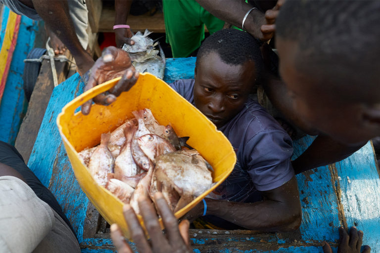 Fishing in Sierra Leone
