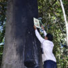 Ouch Leng nails a sign prohibiting logging in Prey Lang Wildlife Sanctuary. Image courtesy of the Goldman Environmental Prize.