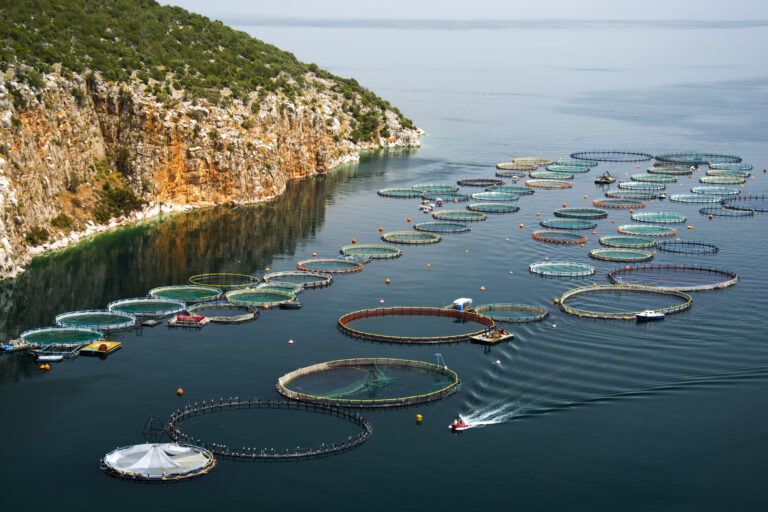 Fish farm in Saronic Gulf, off the Greek coast.