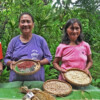 Elder women members of the Kiday Farmers Community Association' proudly show a variety of heirloom seeds they store to support organic farmers in their riverside hamlet in Quezon province.