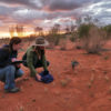 Katherine Moseby and Leanne Van der Wyde releasing a bettong after measuring its physical traits.