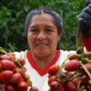Harvesting abundance in the Amazon, and extinguishing the poverty mentality.
