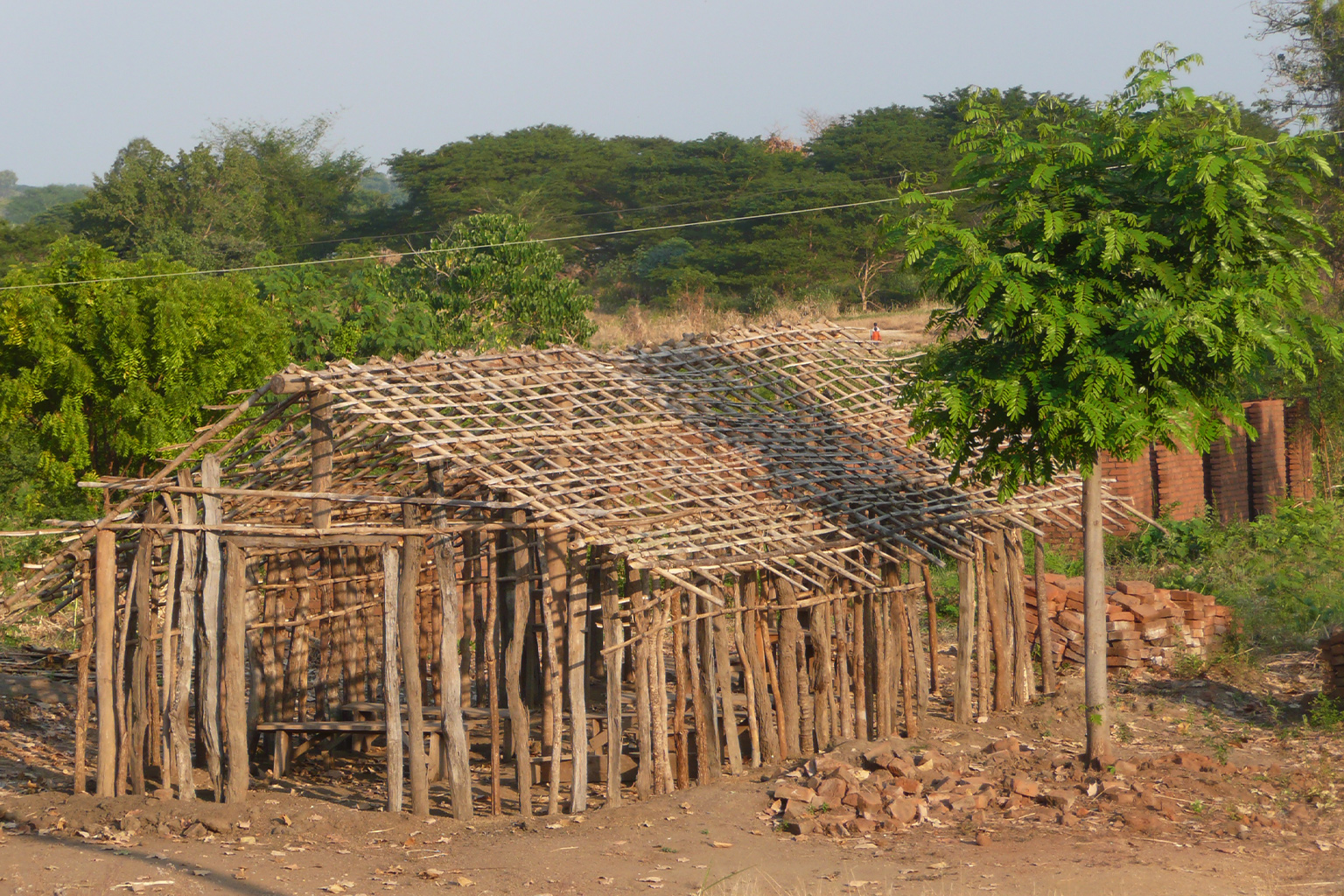People living near the Eastern Arc Mountains use poles collected from the forests to build their homes. 