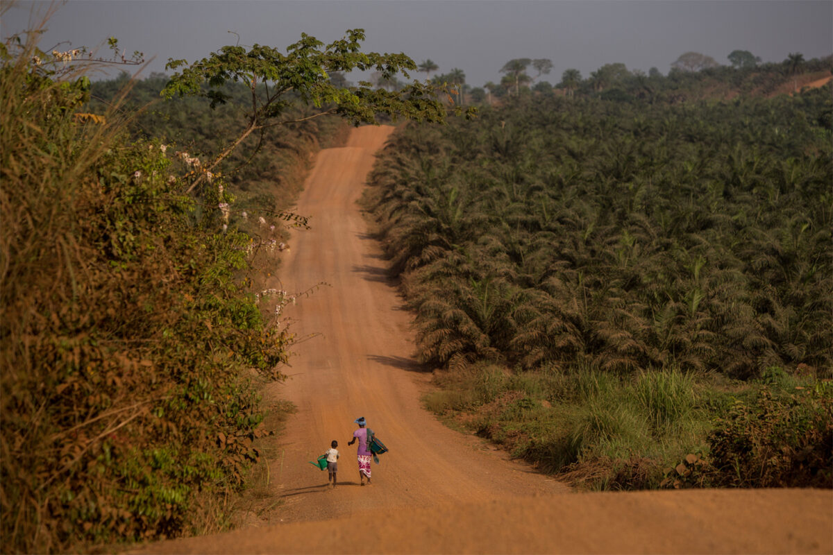 Earlier this year, Socfin hired the Earthworm Foundation, which it is a member of, to conduct an independent investigation, but the move was rejected by many community representatives.