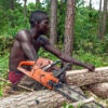 A logger marking a log in Uganda during tree harvesting for timber.