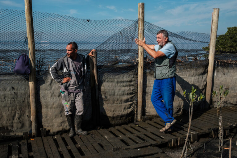 Biologist Mario Moscatelli (right) supervises the work of a colleague during the replanting of mangroves in Jardim Gramacho, close to a disused dump. The area is the most polluted part of the bay and exists under the shadow of the city’s infamous criminal organizations.
