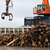 Timber for biomass burning at Tofte, Norway