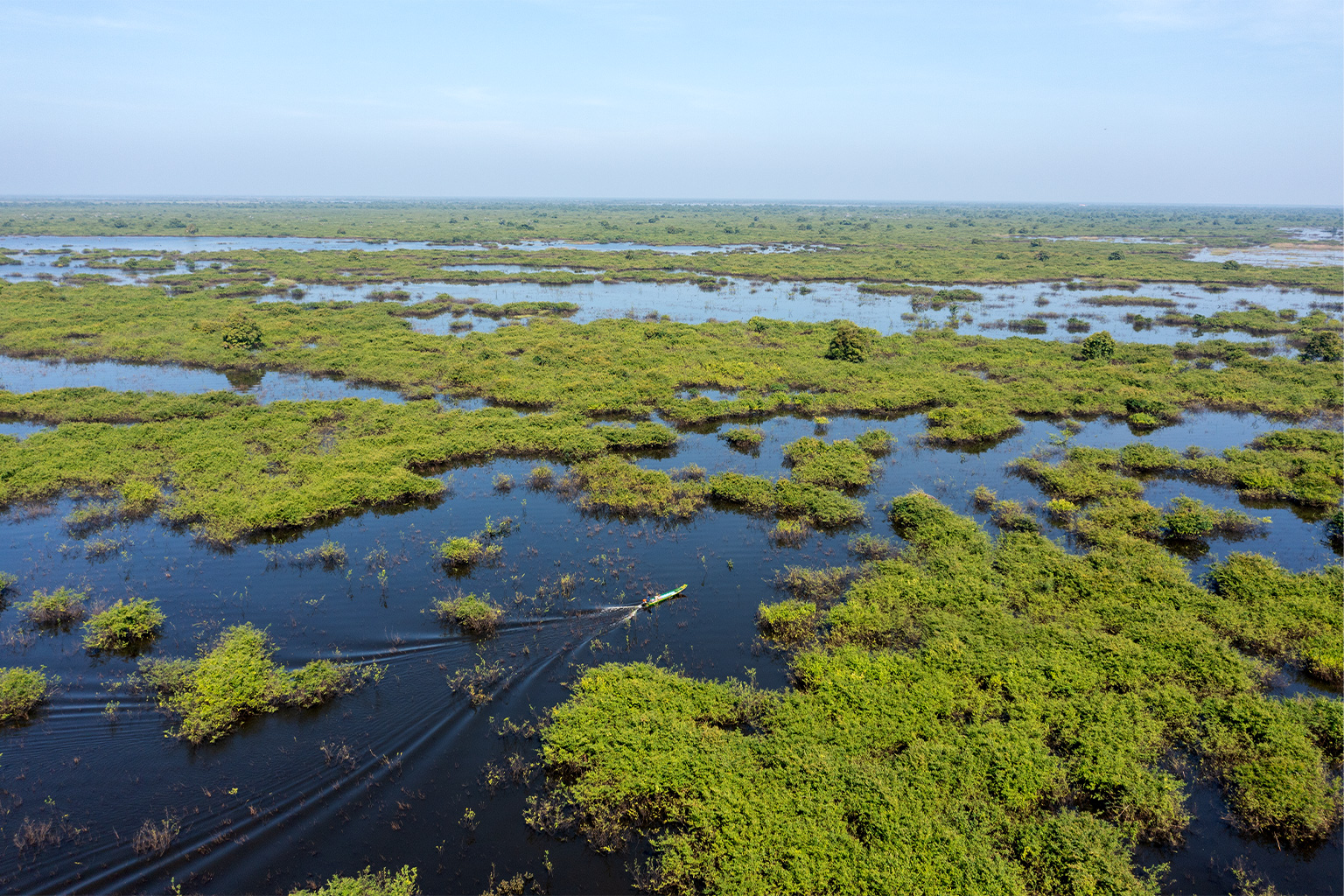 A longtail boat cuts across the flooded forest on Tonle Sap Lake.