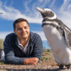 Pablo Borboroglu with a Magellanic penguin