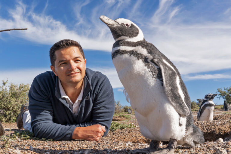 Pablo Borboroglu with a Magellanic penguin