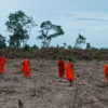 Chhum Rotha and his fellow monks join the replanting efforts in Phnom Tamao.