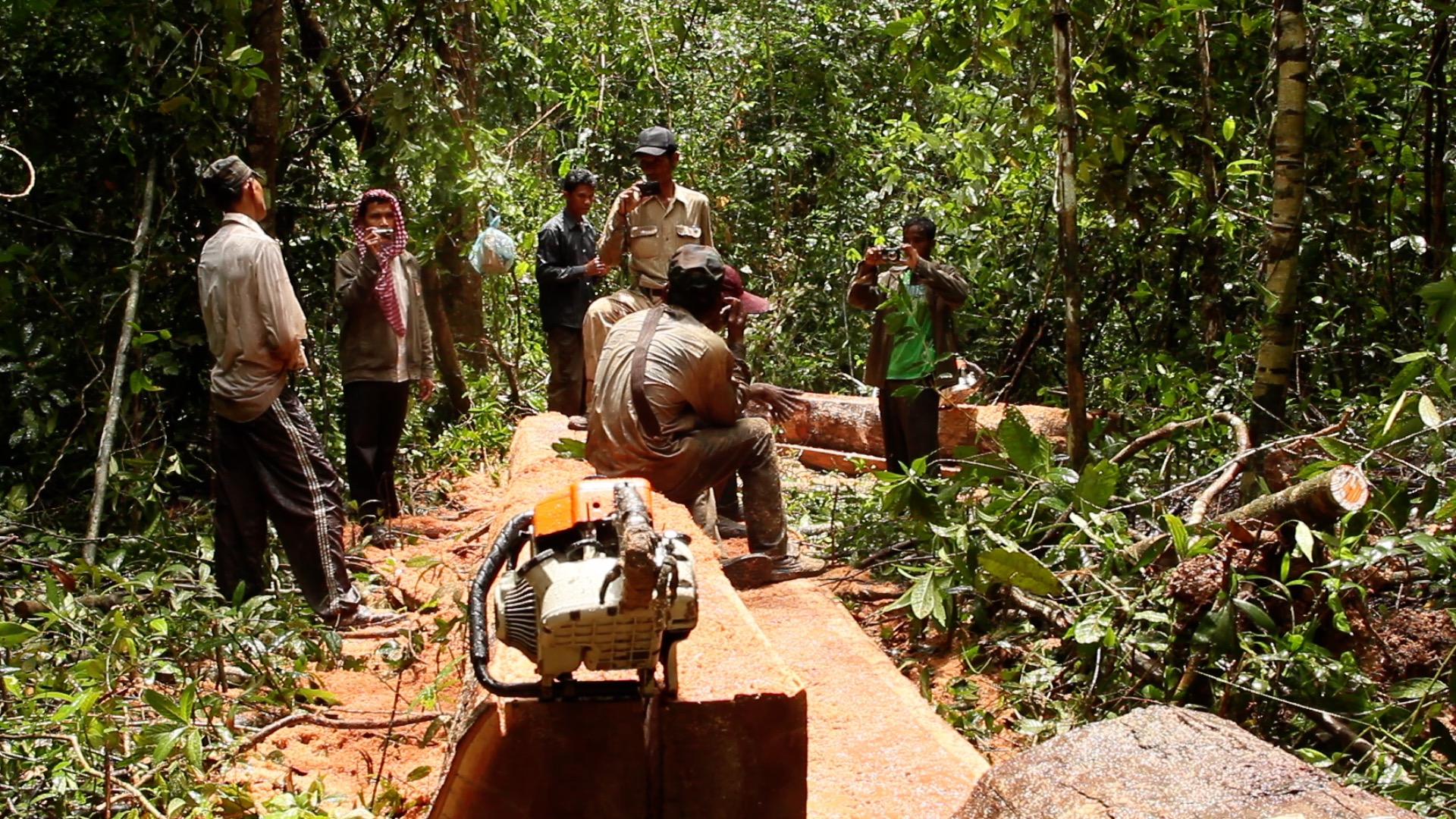 Chut Wutty, the late forest activist who was gunned down in 2012, apprehends illegal loggers in Prey Lang with members of the Prey Lang Community Network while on patrol through the forest in 2011. Image supplied.