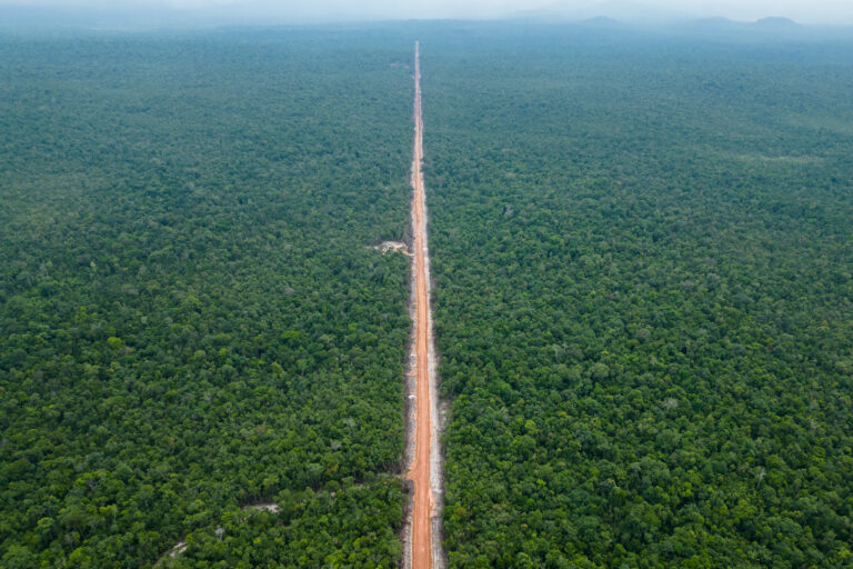The last pocket of forest in Botum Sakor National Park is threatened by new roads, some of which are demarcation boundaries for parcels of forested land that have been awarded to Cambodian senator and tycoon Ly Yong Phat's family. Photo by Gerald Flynn/Mongabay.