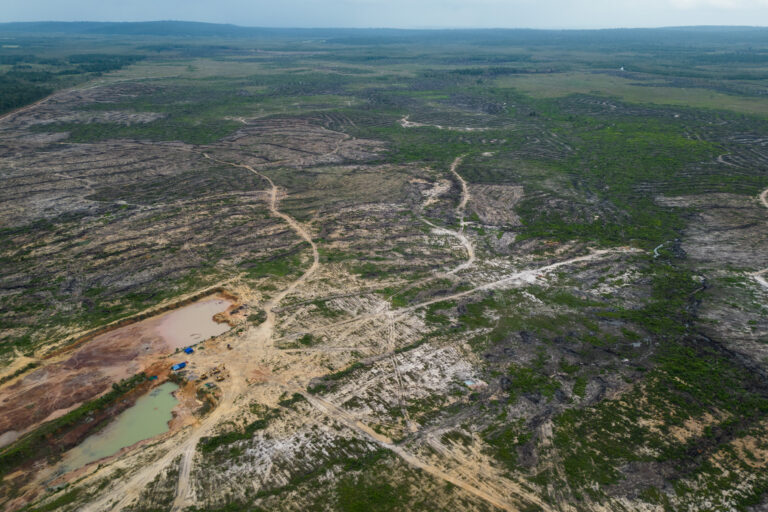 Royal Group's SEZ under construction in Botum Sakor National Park as of May 2023
