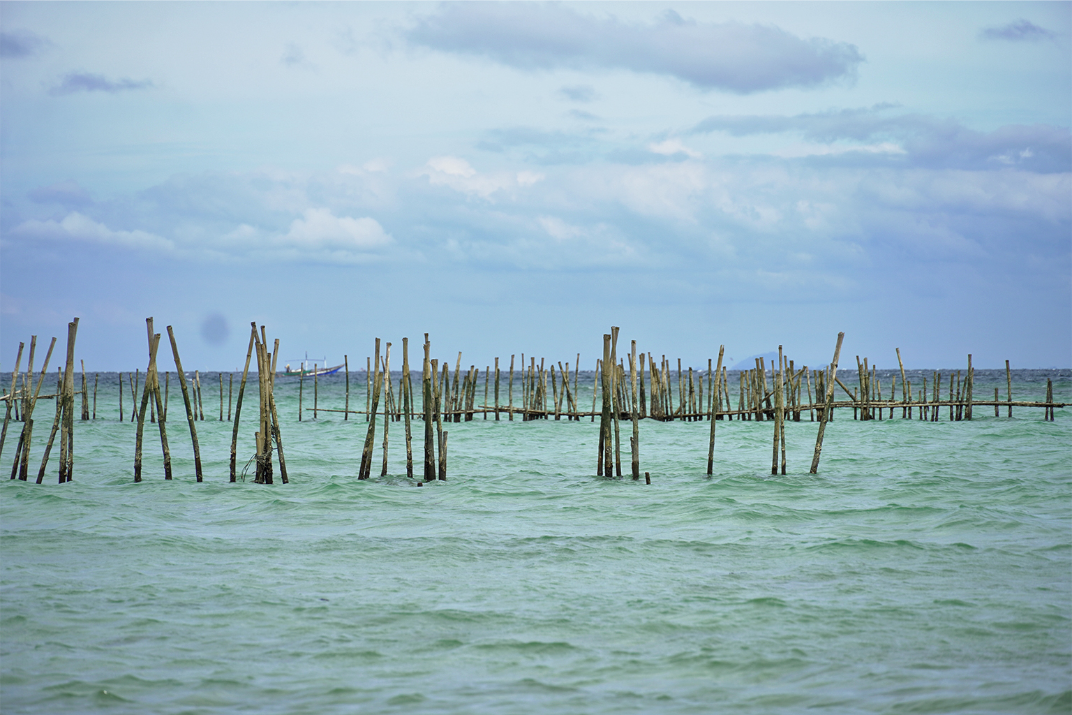 The bamboo fences installed off Bagongon Island have deteriorated, offering minimal protection against waves and sediment accumulation at the mangrove planting site.