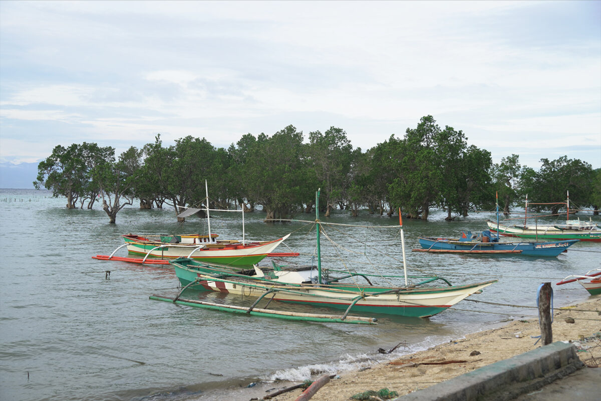 DSC04210-boats-mangroves