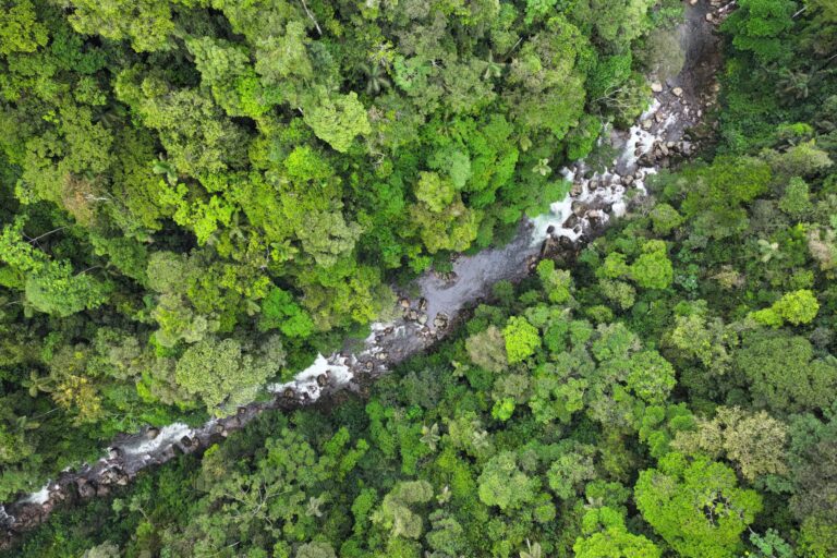 River in the Western Amazon. Photo credit: Rhett A. Butler / Mongabay