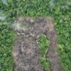 Deforestation in the Amazon in 2023. Photo credit: Rhett A. Butler