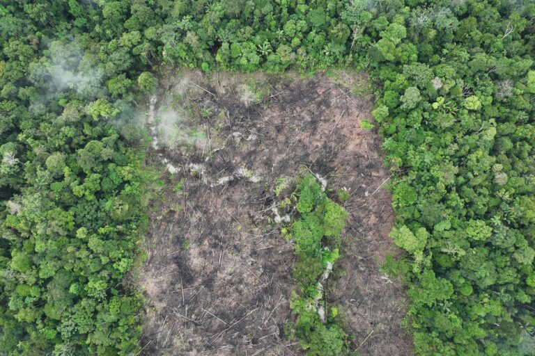 Deforestation in the Amazon in 2023. Photo credit: Rhett A. Butler