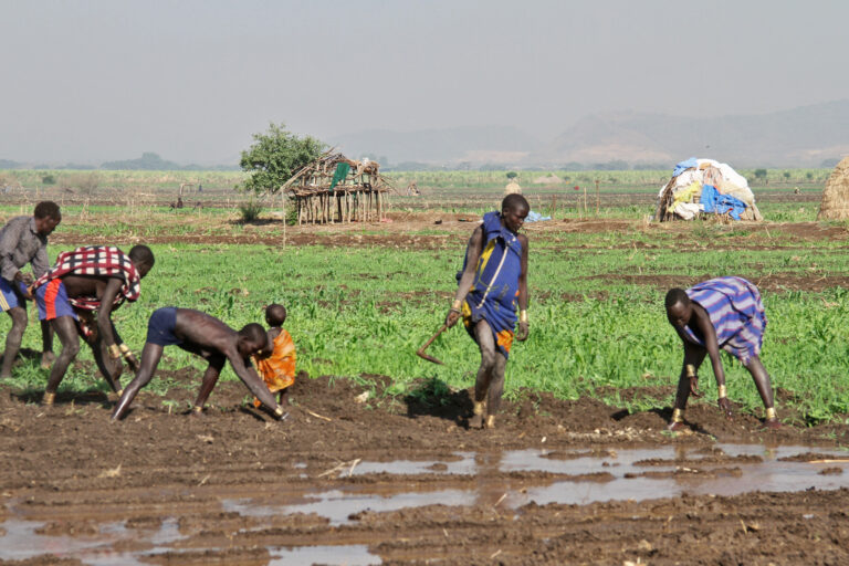 Farmers in the Lower Omo Valley.