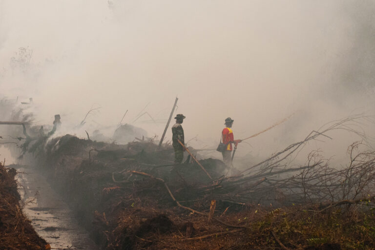 Army officers and and firefighters try to extinguish fires in peatland areas, Borneo.