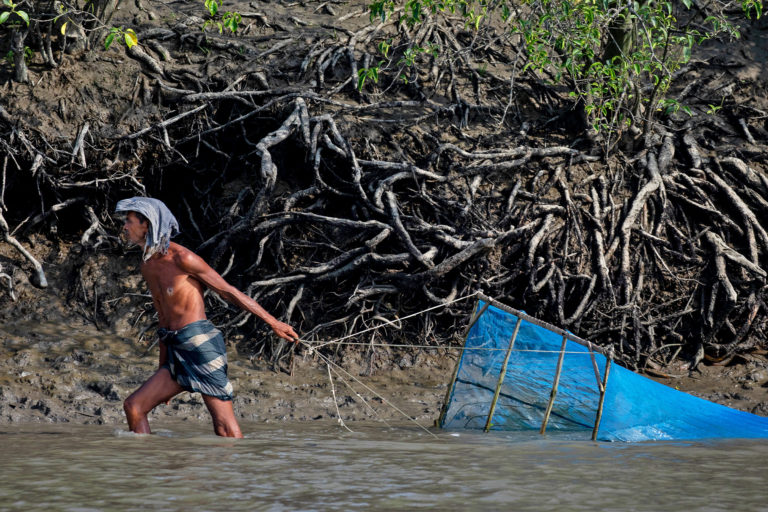 A fisherman collects shrimp in Khulna, Bangladesh.