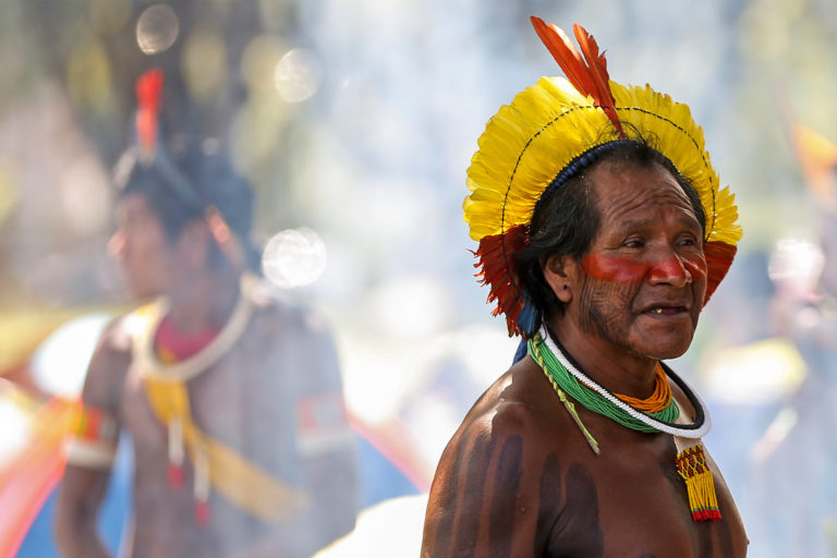 Yanomami Indigenous