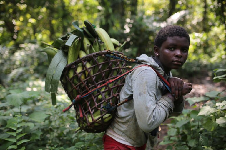 A girl carries sustainably foraged fruits back to her village. Image courtesy of John Novis / Greenpeace.