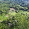 Aerial view of Congo forest at Lokolama/Penzele around Mbandaka, Équateur province, Democratic Republic of the Congo. Image courtesy of Daniel Beltrá / Greenpeace.