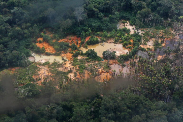 Illegal mining areas inside Yanomami land near the Mucajaí River.