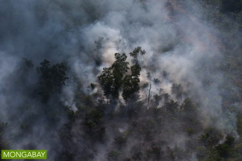 Fire set for peatland clearing in Riau Province, Indonesia in July 2015. Photo by Rhett A. Butler