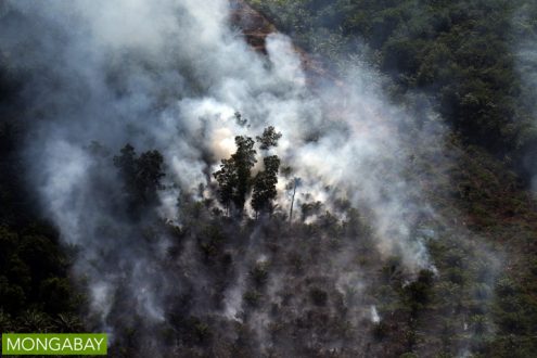 Fire set for peatland clearing in Riau Province, Indonesia in July 2015. Photo by Rhett A. Butler