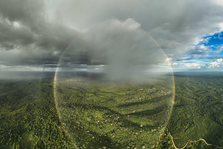 Rainbow over oil palm plantations and forest in Jambi. Photo credit: Rhett A. Butler
