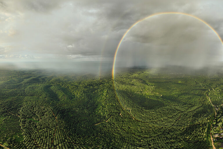 Rainbow over the rainforest and oil palm plantations in the midst of a tropical downpour in Jambi on the Indonesian island of Sumatra. Photo credit: Rhett A. Butler