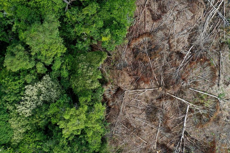 Deforestation in Kapuas Hulu regency, West Kalimantan, Indonesia. Photo by Rhett A. Butler