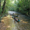 Iban dugout canoes on the Utik river in Sungai Utik's customary forest in West Kalimantan, Indonesian Borneo. Photo by Rhett A. Butler