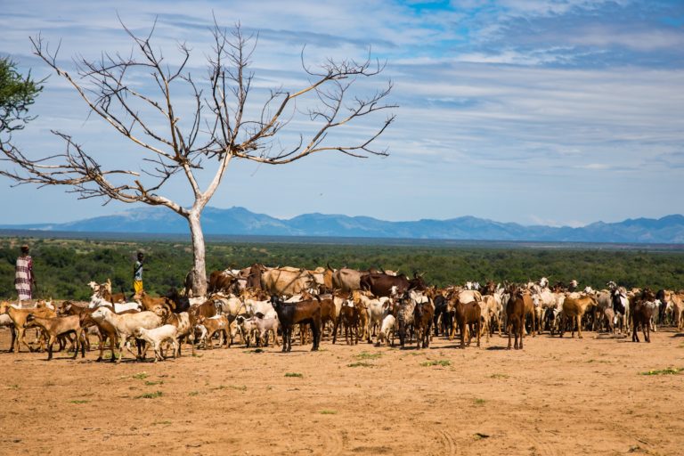 Herders in the Lower Omo Valley, Ethiopia. Image courtesy of the Oakland Institute.