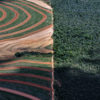 Aerial photo of thick rainforest and the plowed fields of crops.