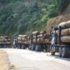 Convoy of four logging trucks in Gabon, following each other from right to left along a paved road out of the frame, green foliage on the hillside above the dry gray and brown of the road . Image by jbdodane via Flickr (CC BY-NC 2.0)