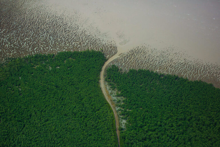The Amazon River flows into the Atlantic Ocean.