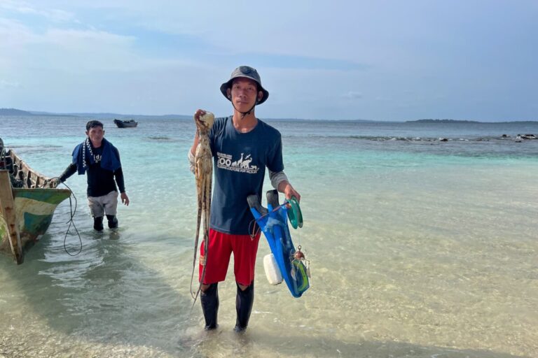 Fishermen catch octopus on Beriulou Island.