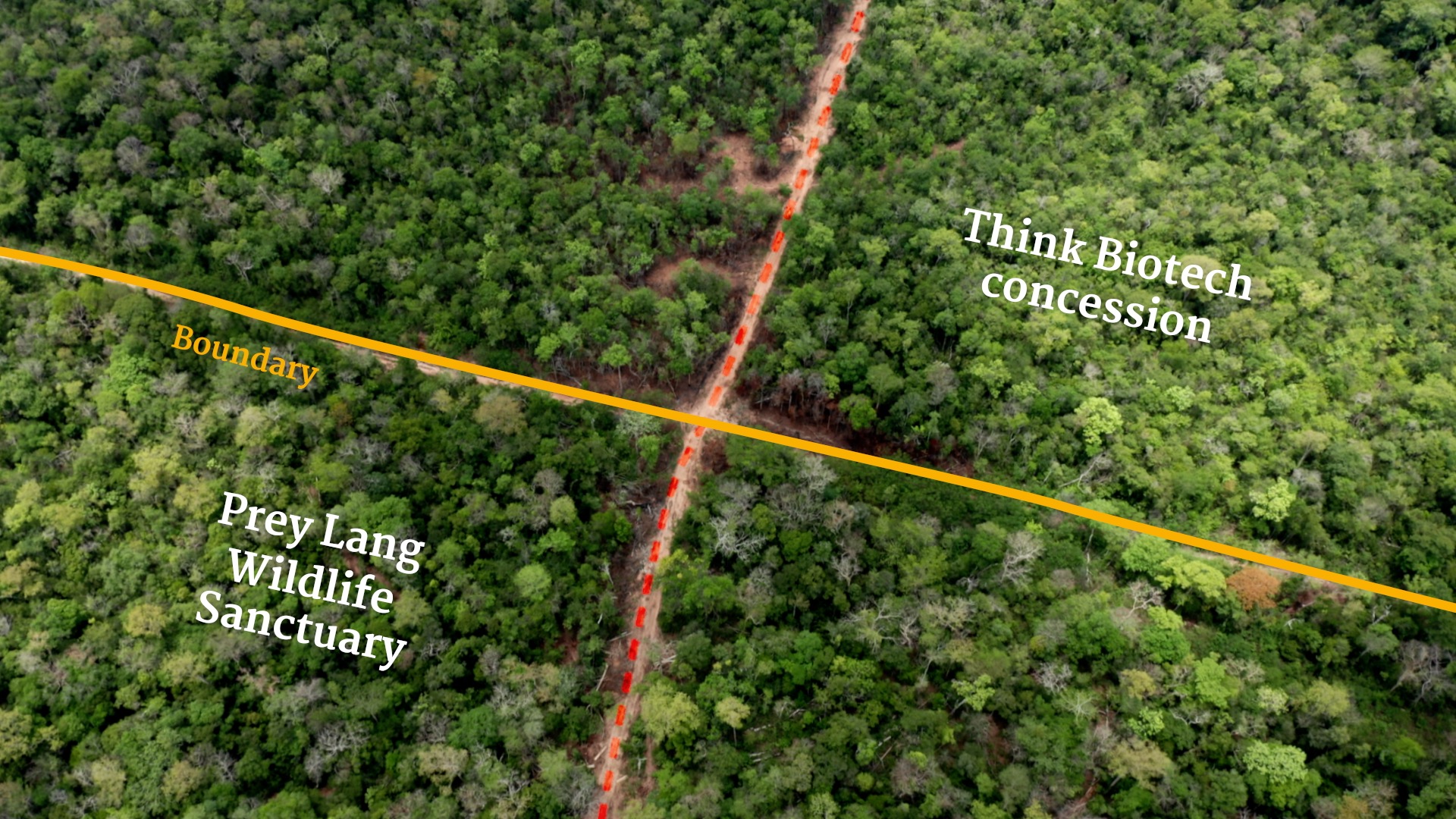 Initially identified on satellite imagery, the new road crossing the boundary of Prey Lang Wildlife Sanctuary was built from within Think Biotech's concession over the course of April 2023. Image by Chasing Deforestation / Mongabay.