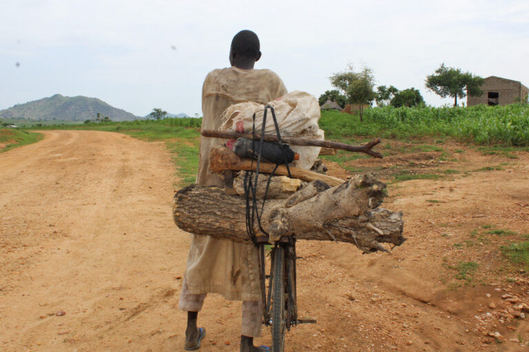 A Nigerian refugee from Minawao camp carries a dry tree trunk on his bicycle, which he will use as firewood for cooking at home.