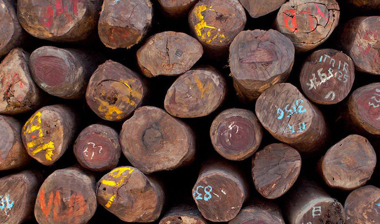 Rosewood logs. Image courtesy of Environmental Investigation Agency.
