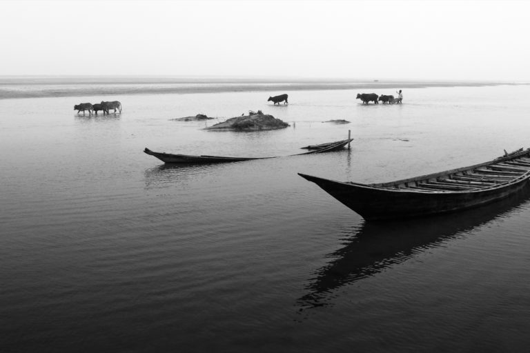 Boats on the Padma River